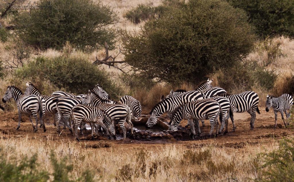 Отель Elerai Camp Амбосели Экстерьер фото